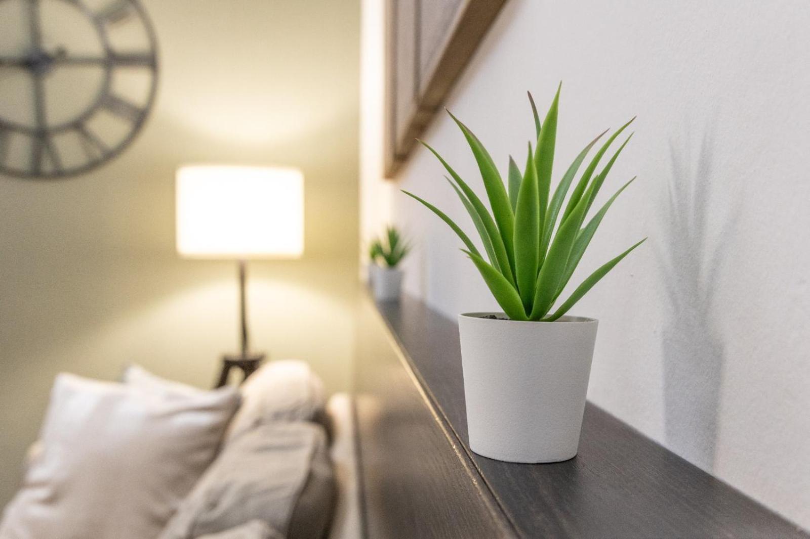 Mariposa Apartment Λιβόρνο Εξωτερικό φωτογραφία